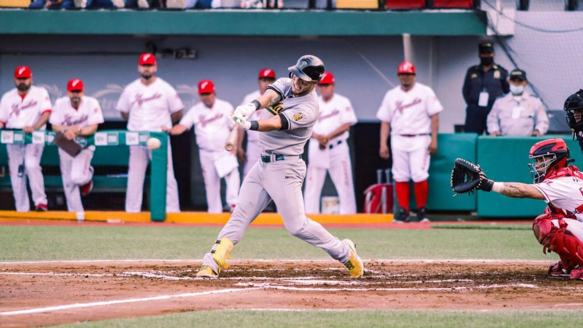 Pericos de la Liga Mexicana de Beisbol